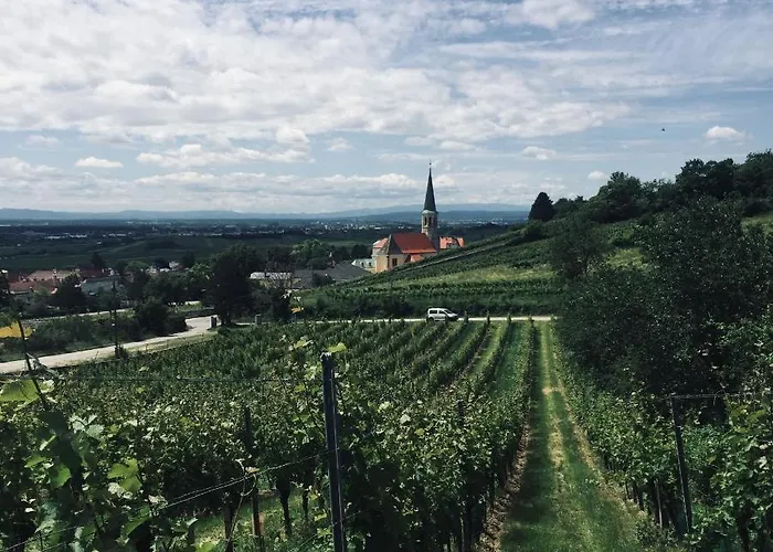 Gaestehaus Hofer Konukevi