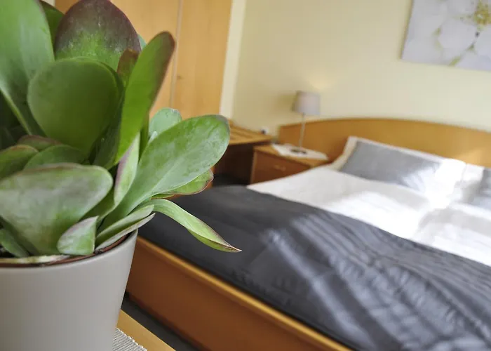 Gæstehus Gaestehaus Hofer